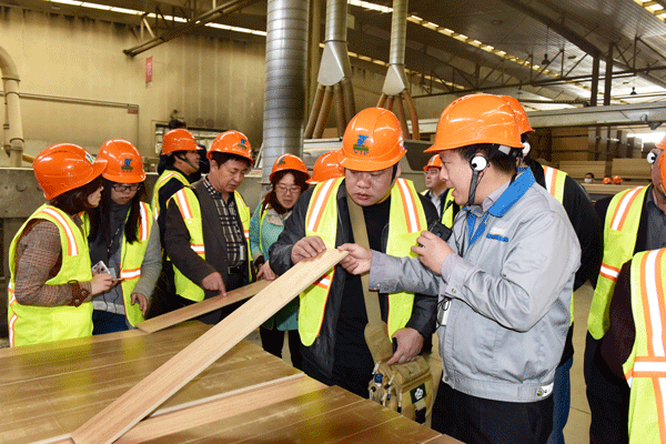 聚焦木制林產(chǎn)品專(zhuān)家學(xué)者、媒體走進(jìn)大亞圣象考察采風(fēng)