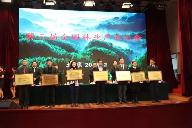 第三屆全國(guó)林業(yè)產(chǎn)業(yè)大會(huì)在京召開(kāi),大亞集團(tuán)再獲多項(xiàng)殊榮
