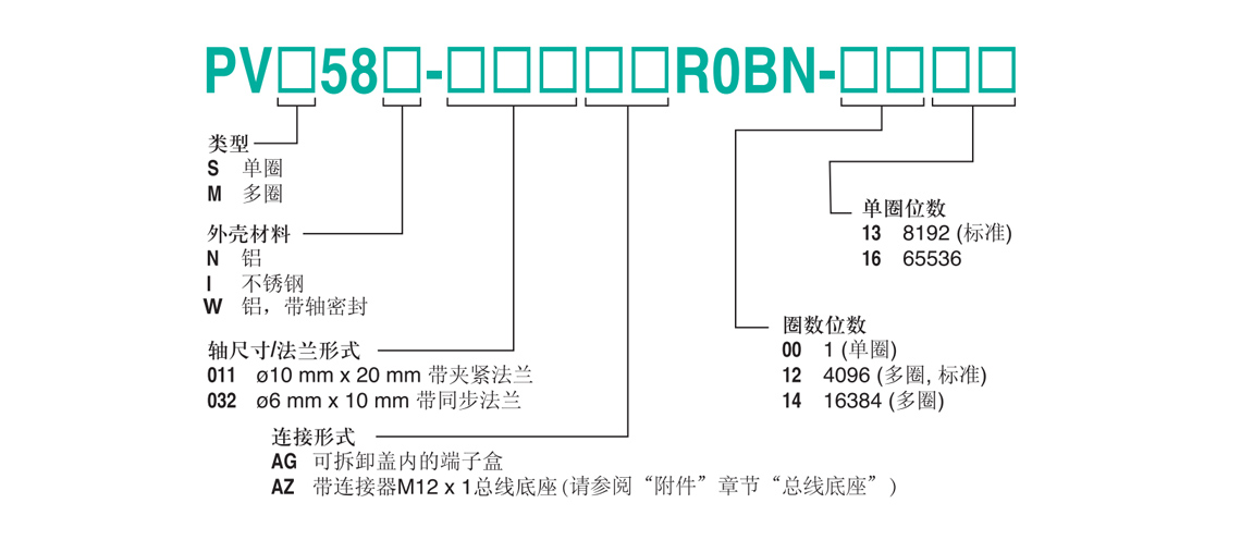 PVS58I-011AGR0BN-0013